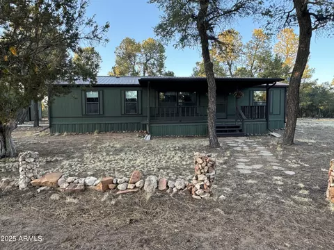 3050 Chevelon Rd, Overgaard, AZ 85933 photo 47