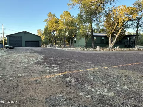 3050 Chevelon Rd, Overgaard, AZ 85933 photo 48