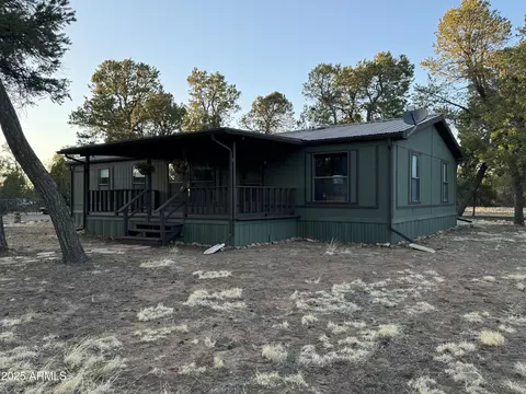3050 Chevelon Rd, Overgaard, AZ 85933 photo 46