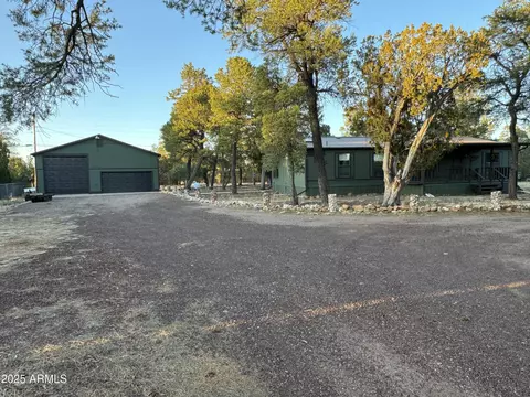 3050 Chevelon Rd, Overgaard, AZ 85933 photo 49