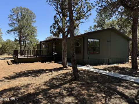 3050 Chevelon Rd, Overgaard, AZ 85933 photo 37