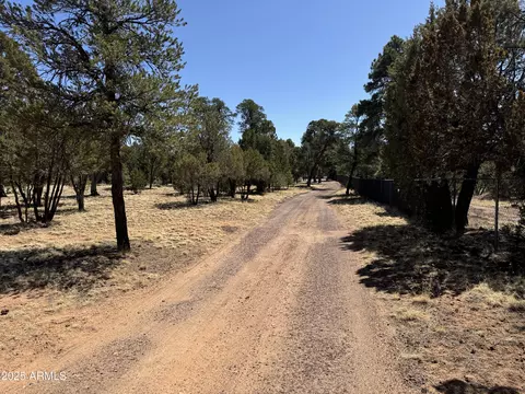 3050 Chevelon Rd, Overgaard, AZ 85933 photo 27