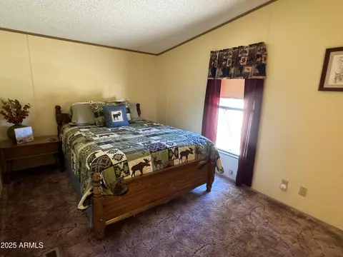 3050 Chevelon Rd, Overgaard, AZ 85933 photo 20