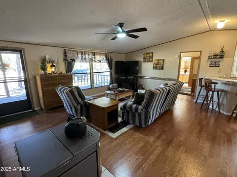3050 Chevelon Rd, Overgaard, AZ 85933 photo 4