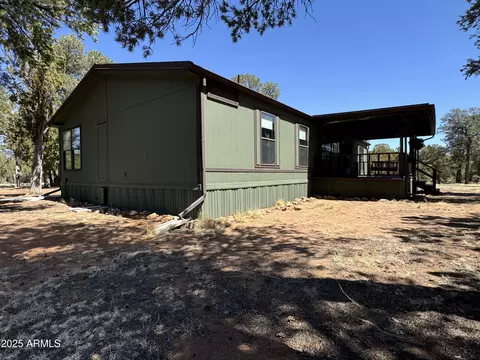 3050 Chevelon Rd, Overgaard, AZ 85933 photo 38