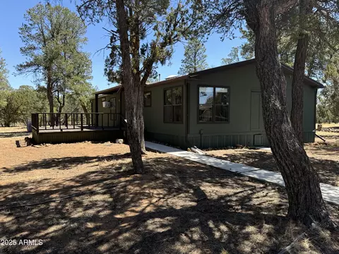 3050 Chevelon Rd, Overgaard, AZ 85933 photo 29