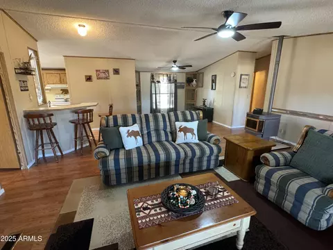 3050 Chevelon Rd, Overgaard, AZ 85933 photo 9
