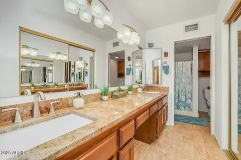 Bath - 4618 E Valley View Dr, Phoenix, AZ 85044 photo 1 of 5
