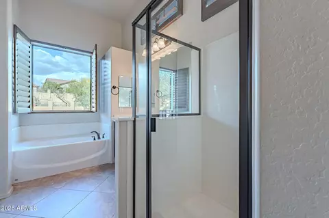 Bath - 8348 E Indigo St, Mesa, AZ 85207 photo 5 of 6