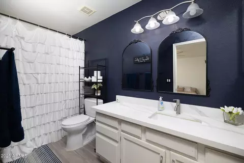 Bath - 4529 E Thistle Landing Dr, Phoenix, AZ 85044 photo 1 of 2