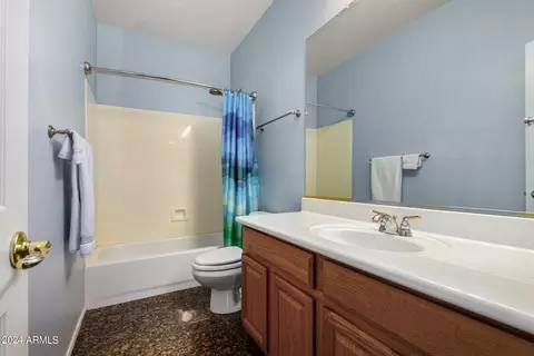 Bath - 2977 E County Down Dr, Chandler, AZ 85249 photo 5 of 5