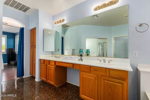 Bath - 2977 E County Down Dr, Chandler, AZ 85249 photo 2 of 5