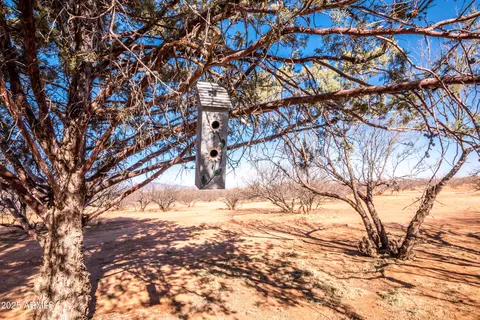 Other - 8144 E Dakota Rd, Hereford, AZ 85615 photo 12 of 21