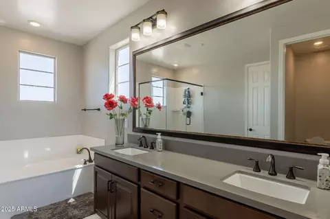 Bath - 3871 E Harrison St, Gilbert, AZ 85295 photo 4 of 5