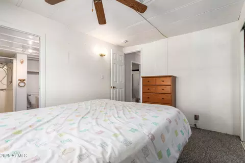 9101 Eleanor Ave, Mesa, AZ 85208 photo 26