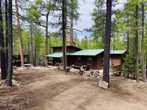 568 Forest Ln, Happy Jack, AZ 86024