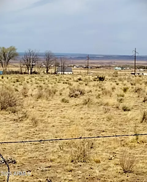 tbd Parcel 004c Sec 30 T13n R28e -- #004C, Saint Johns, AZ 85936