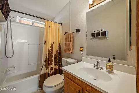 Bath - 2893 S Lazy Bear Trl, Overgaard, AZ 85933 photo 3 of 4
