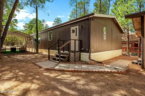 Other - 2893 S Lazy Bear Trl, Overgaard, AZ 85933 photo 5 of 10