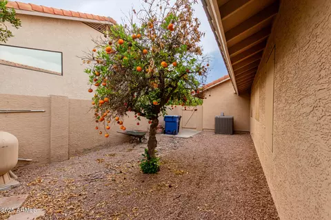 Exterior - 1139 E Stephens Dr, Tempe, AZ 85283 photo 8 of 11