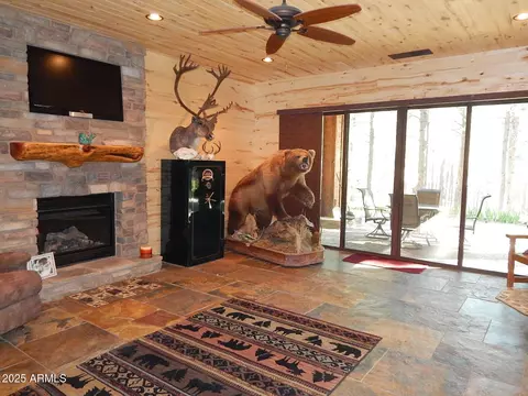 Other - 2372 Summer Loop, Forest Lakes, AZ 85931 photo 4 of 12