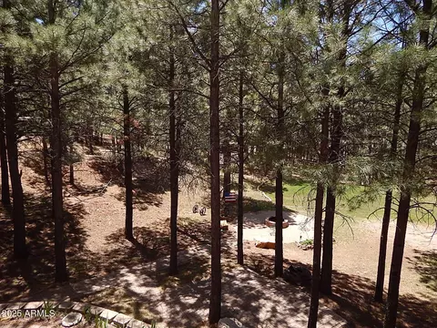 Other - 2372 Summer Loop, Forest Lakes, AZ 85931 photo 12 of 12