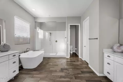 Bath - 10741 E Palladium Dr, Mesa, AZ 85212 photo 1 of 3