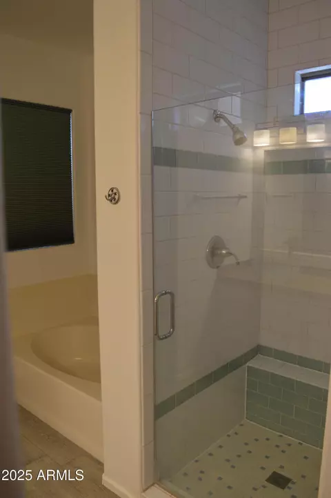 Bath - 11265 E Contessa St, Mesa, AZ 85207 photo 3 of 3