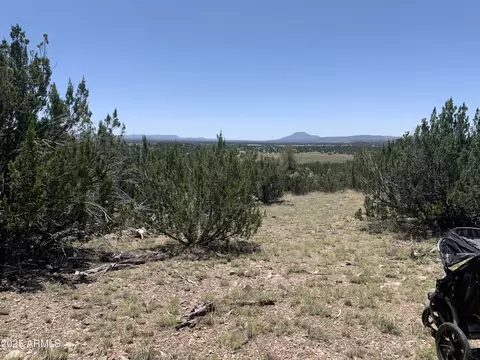 37925 W Raptor Rd #764, Seligman, AZ 86337