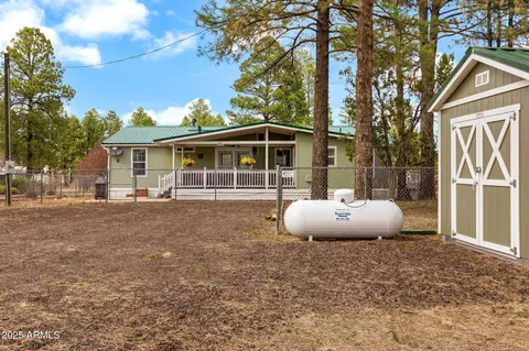 2181 Ruby Ln, Overgaard, AZ 85933 photo 30