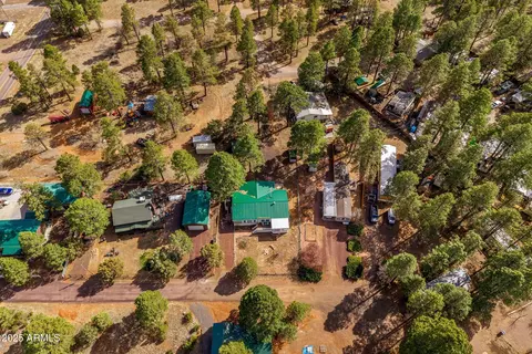 2181 Ruby Ln, Overgaard, AZ 85933 photo 35