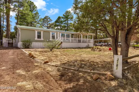 2181 Ruby Ln, Overgaard, AZ 85933 photo 3