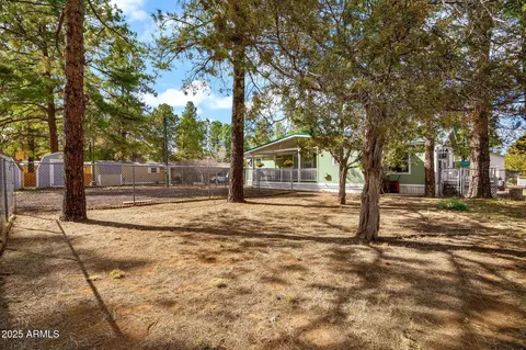 2181 Ruby Ln, Overgaard, AZ 85933 photo 28