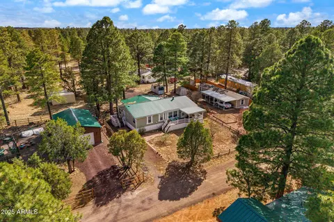 2181 Ruby Ln, Overgaard, AZ 85933 photo 38