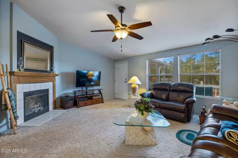 2181 Ruby Ln, Overgaard, AZ 85933 photo 12
