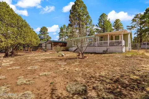 2181 Ruby Ln, Overgaard, AZ 85933 photo 5