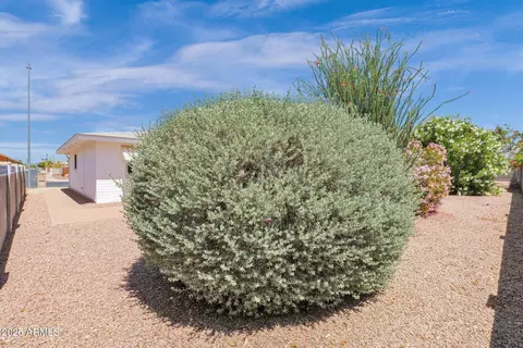 5003 Elena Ave, Mesa, AZ 85206 photo 32