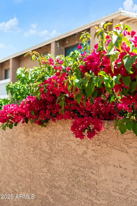 Exterior - 2833 E Tracy Ln #1, Phoenix, AZ 85032 photo 10 of 10