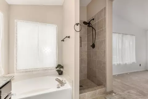 Bath - 1905 E Palomino Dr, Gilbert, AZ 85296 photo 1 of 3