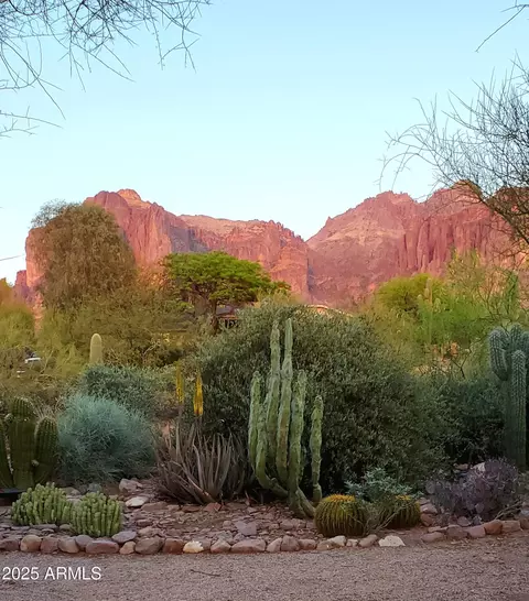 3243 N Val Vista Rd, Apache Junction, AZ 85119 photo 48