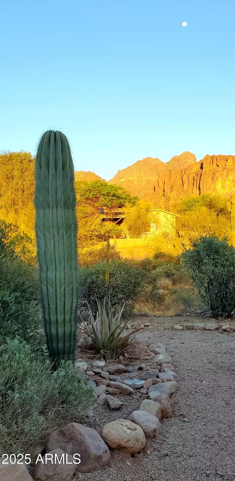 3243 N Val Vista Rd, Apache Junction, AZ 85119 photo 51