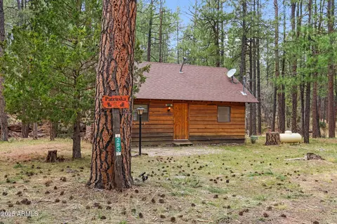 293 W Diamond Rd, Payson, AZ 85541 photo 2