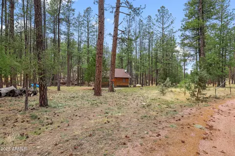 293 W Diamond Rd, Payson, AZ 85541 photo 1