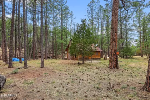 293 W Diamond Rd, Payson, AZ 85541 photo 10