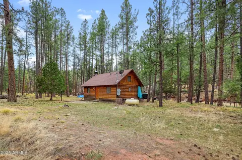 293 W Diamond Rd, Payson, AZ 85541 photo 11