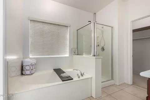 Bath - 3080 E Palmdale Ln, Gilbert, AZ 85298 photo 1 of 3