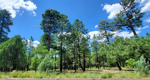 2526 Well Water Rd #322, Happy Jack, AZ 86024