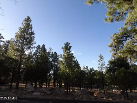 3632 Timberline Dr #24, Happy Jack, AZ 86024