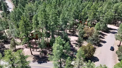 View/Area - 3622 N Mistletoe Dr, Pine, AZ 85544 photo 2 of 2