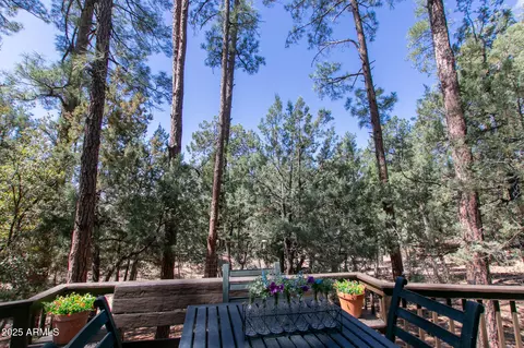 Exterior - 3622 N Mistletoe Dr, Pine, AZ 85544 photo 4 of 15
